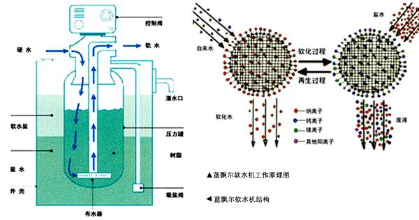 微信图片_20250221103806